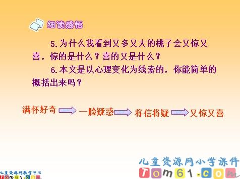 剪枝的学问课件5