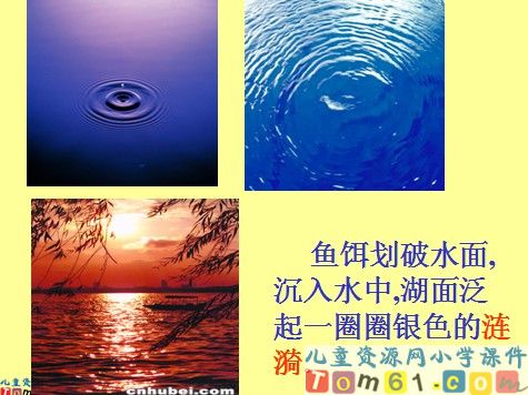 你必须把这条鱼放掉课件7