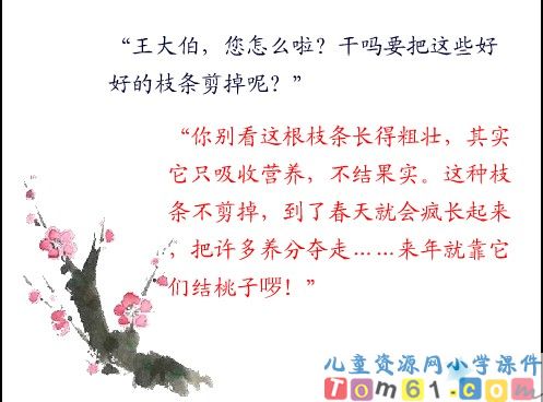 剪枝的学问课件12