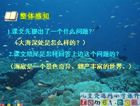 海底世界课件2