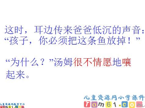 你必须把这条鱼放掉课件8