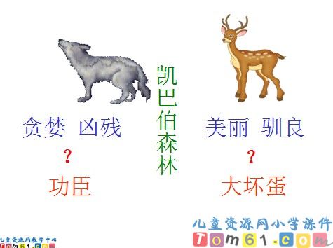 狼和鹿课件1