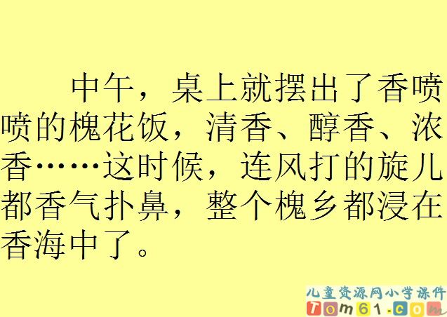 槐乡五月课件13