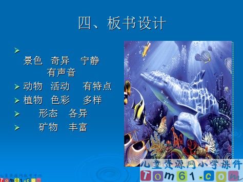 海底世界课件9