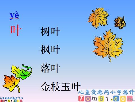 秋天课件5
