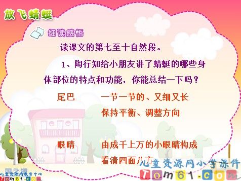 放飞蜻蜓课件5