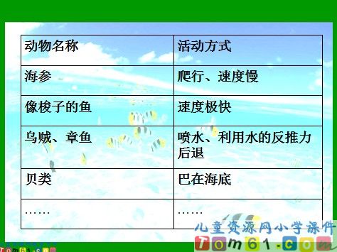 海底世界课件3