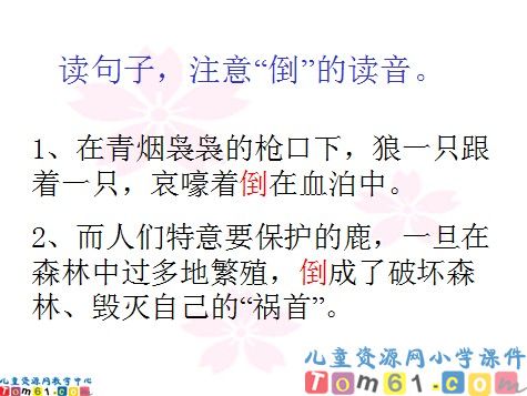 狼和鹿课件10