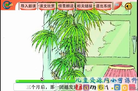 珍珠鸟课件3