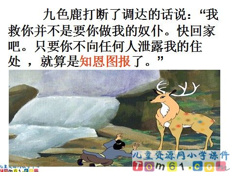 九色鹿课件5
