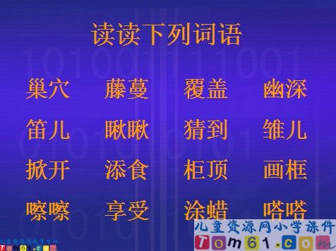 珍珠鸟课件8