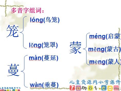 珍珠鸟课件18