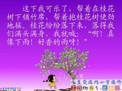 桂花雨课件13