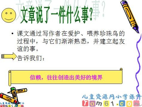 珍珠鸟课件6