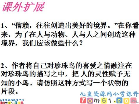 珍珠鸟课件12