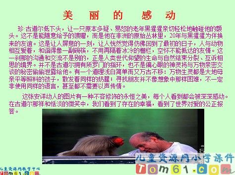 珍珠鸟课件17