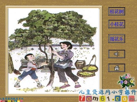 桂花雨课件6