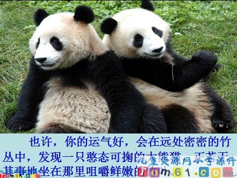 迷人的九寨沟课件9