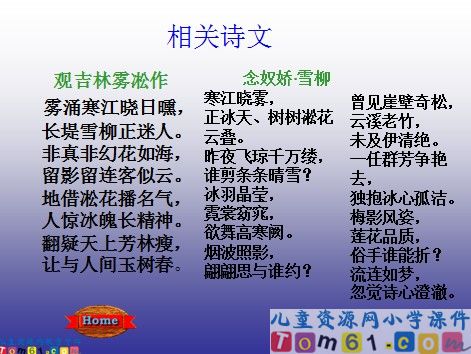 雾淞课件3