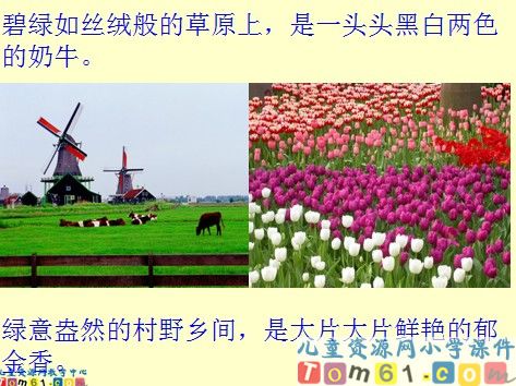田园诗情课件6