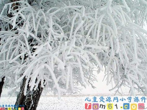 吉林雾淞课件2