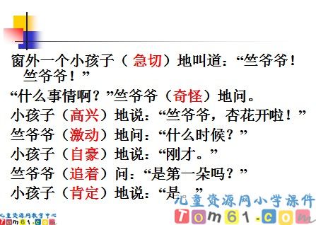 第一朵杏花课件11