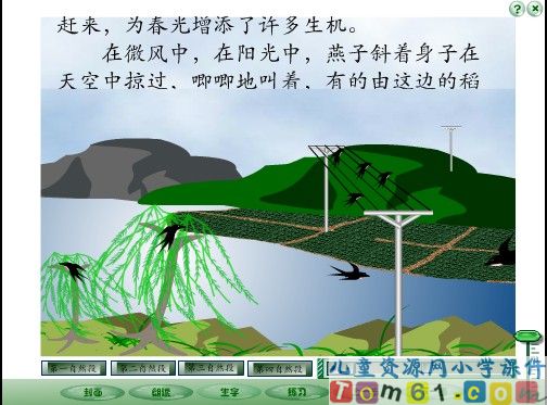 燕子课件14
