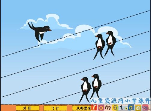 燕子课件9