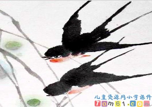 燕子课件15