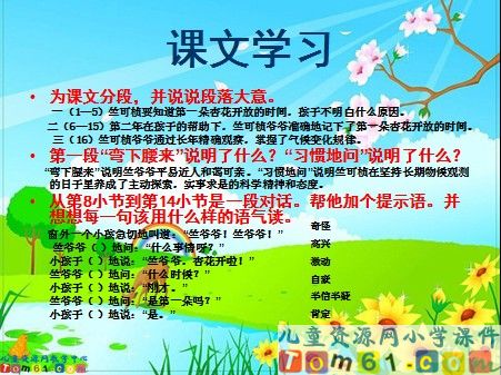 第一朵杏花课件6