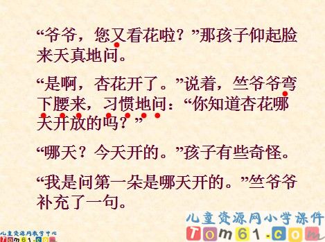 第一朵杏花课件1
