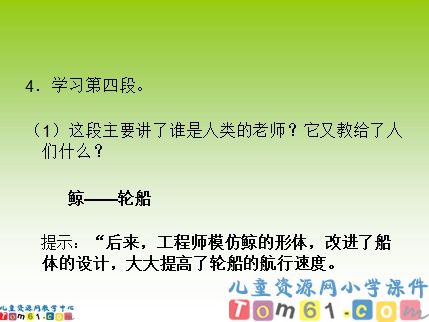 人类的老师课件6