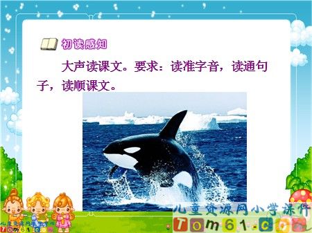 人类的老师课件4