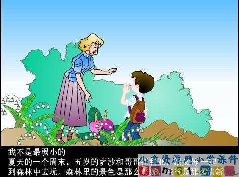 我不是最弱小的课件8