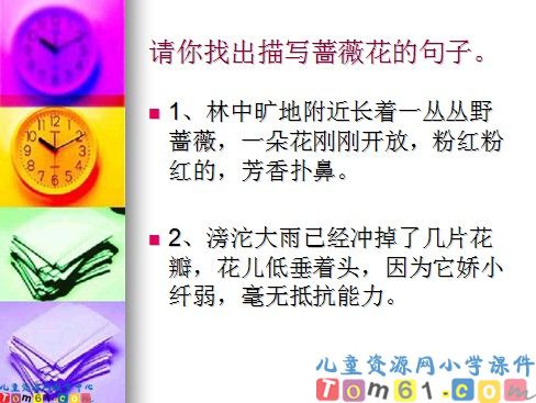 我不是最弱小的课件11