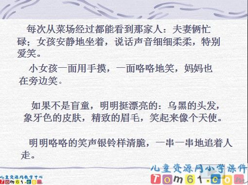 番茄太阳课件4