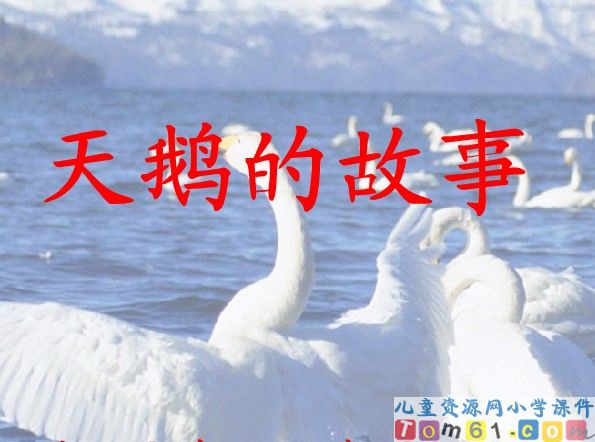 天鹅的故事课件14