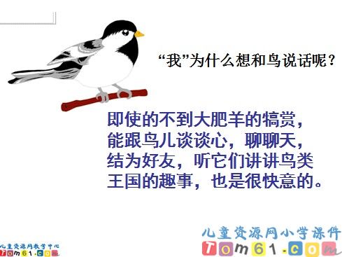 鸟语课件4