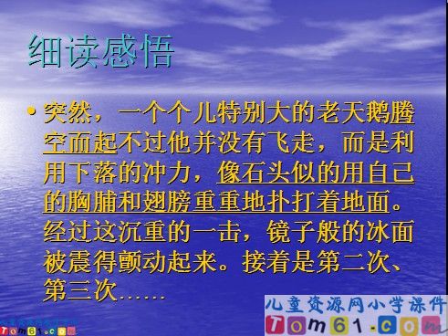 天鹅的故事课件8