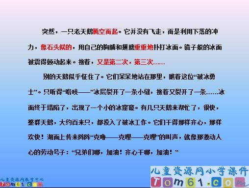 天鹅的故事课件10