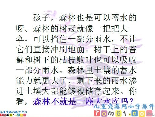 云雀的心愿课件15
