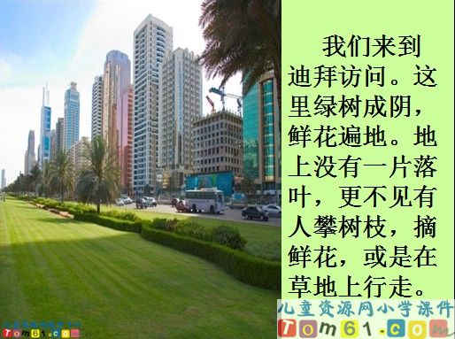 沙漠中的绿洲课件7