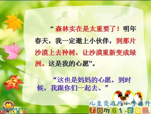 云雀的心愿课件6