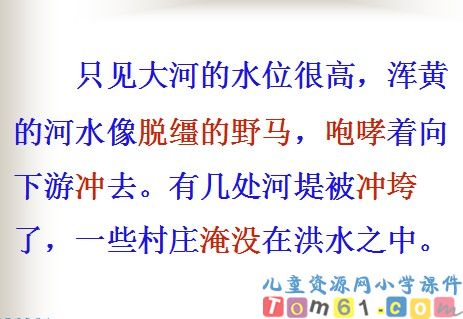 云雀的心愿课件13