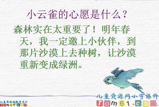 云雀的心愿课件16