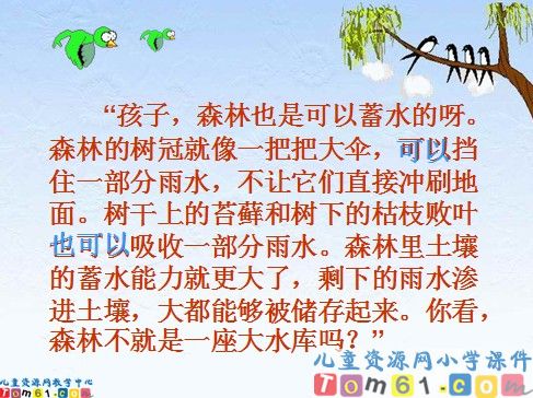 云雀的心愿课件9