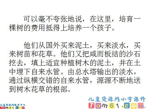 沙漠中的绿洲课件4