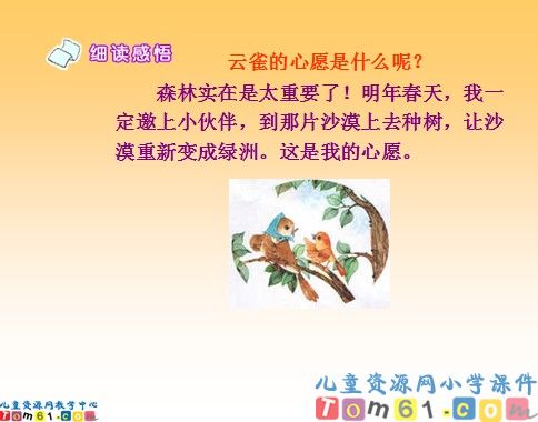 云雀的心愿课件14