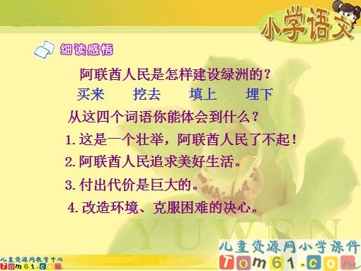 沙漠中的绿洲课件5