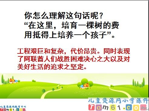 沙漠中的绿洲课件9